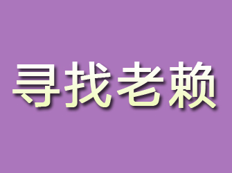 冷湖寻找老赖